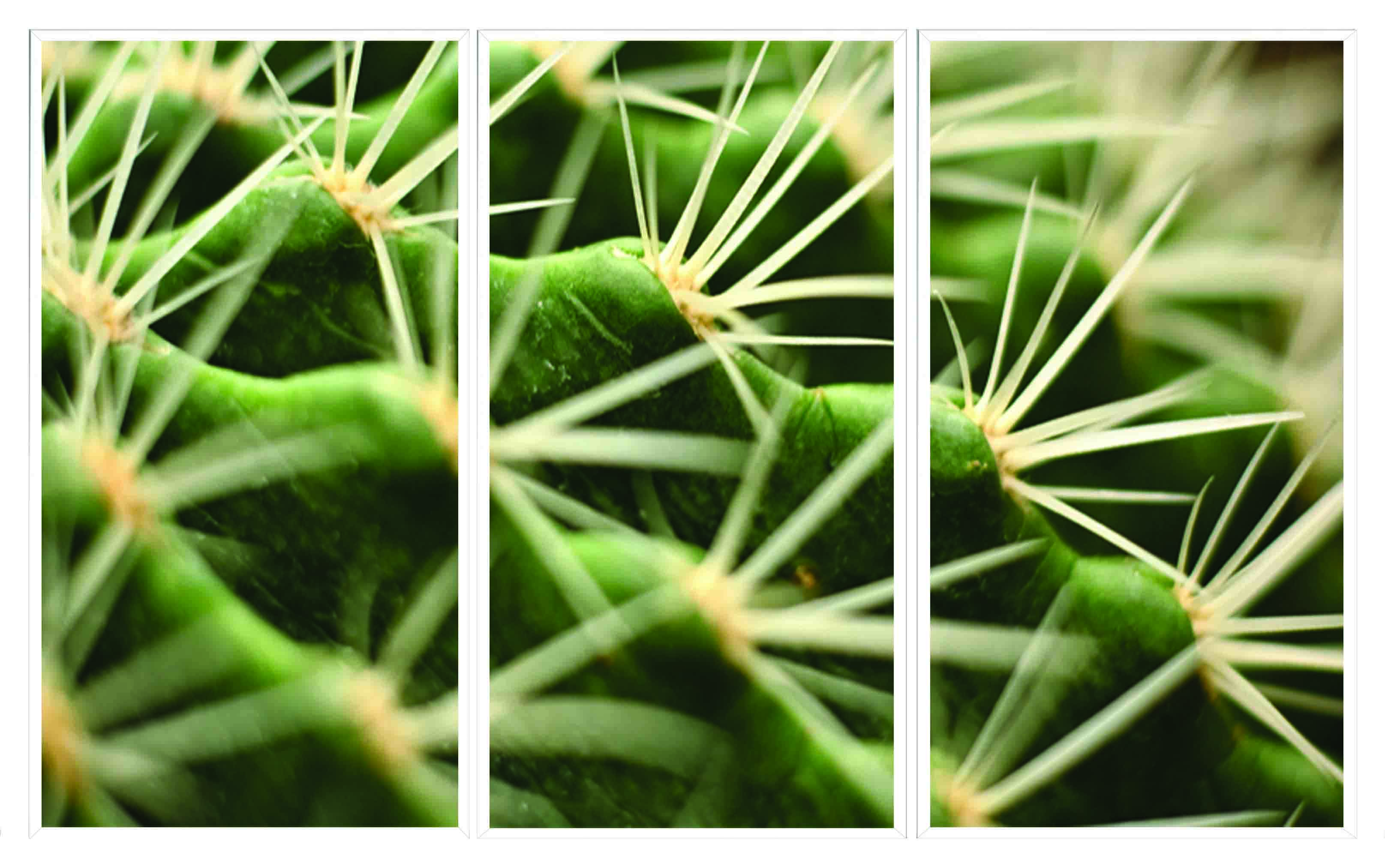 ASG457 Wall décor art printed on glass cactus set of 3